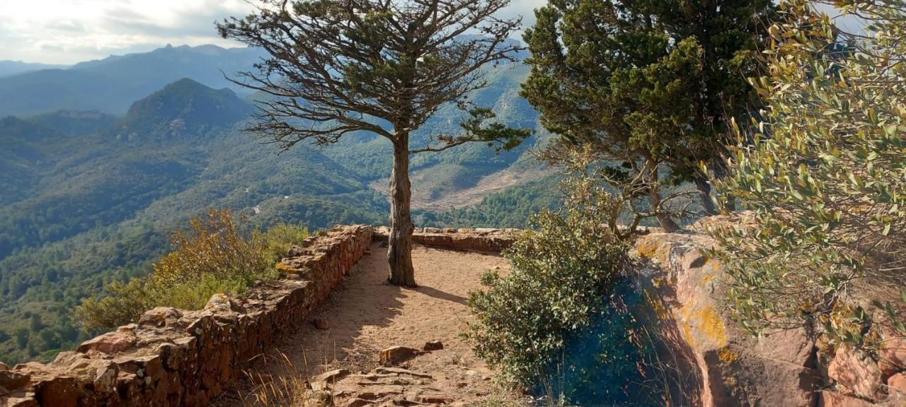 La Casita De Jimena Villa Riudecanyes Esterno foto
